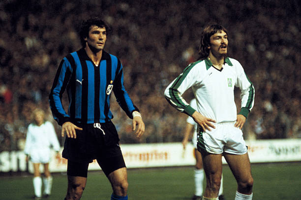 在自然保护 在自然保护